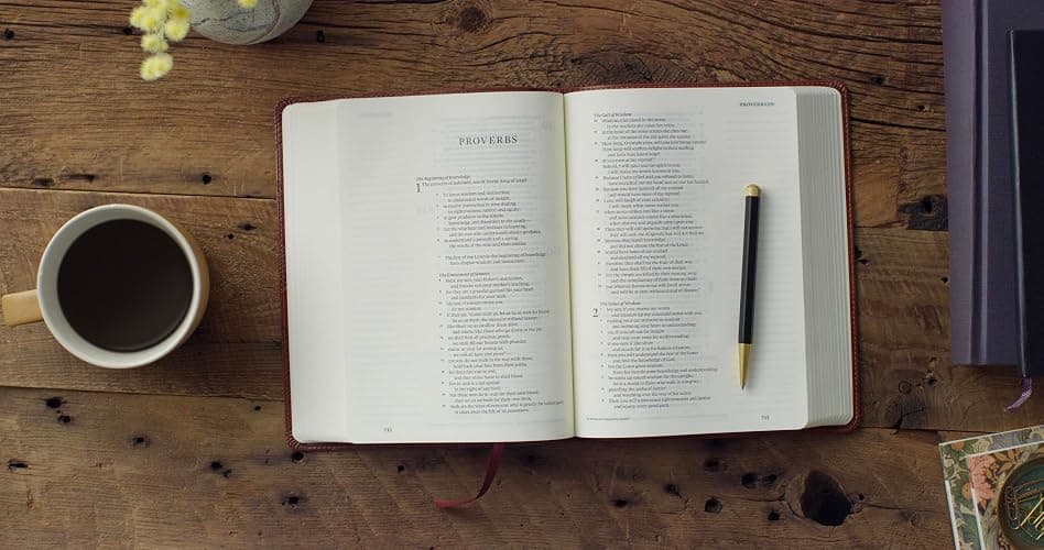 ESV Single Column Journaling Bible (TruTone, Chestnut, Leaves Design): Holy Bible, English Standard Version thumbnail 3