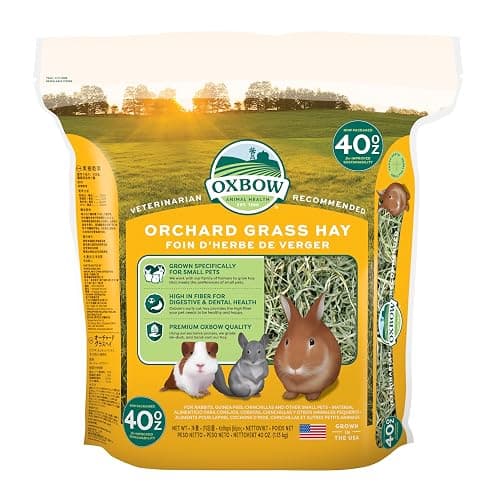 Oxbow Orchard Grass Hay for Small Pets β All-Natural Long Strand Fiber Hay for Rabbits, Guinea Pigs, Chinchillas, and Hamsters β Supports Digestive Health and Enrichment β 40 oz Bag - Image 1