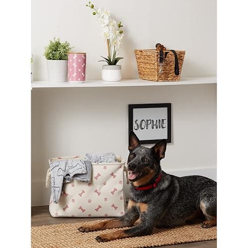 Bone Dry Pet Storage Collection Paw and Bone Print, Small Rectangle, 14x8x9", Rose thumbnail 2