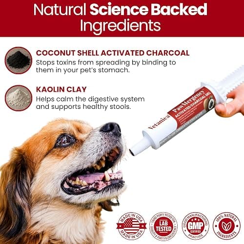 Vetanica PawMergency – Activated Charcoal First Aid Kit Emergency Rescue 2 Pack for Dogs, Cats, Puppy & Pet Poison Kit, Camping Survival Remedy Essential, Oral Anti Diarrhea Digestive Absorb Toxins thumbnail 7
