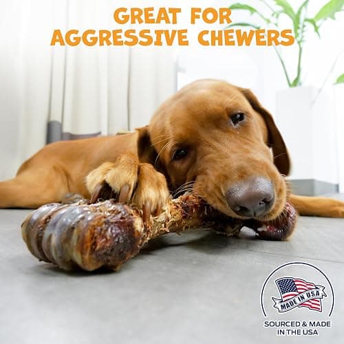 Pack Approved Beef Shin Bones for Dogs - Liver Coated Long Lasting Dog Chews for Aggressive Chewers - Rawhide-Free Big Bones for Large Dogs - Healthy Large Dog Bone (1 Pack) thumbnail 2