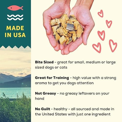A Better Treat – Freeze Dried Organic Pumpkin, Wild Caught Salmon, Organic Grass Fed & Finished Pasture Raised Beef, Organic Chicken Dog and Cat Treats | Healthy, Diabetic Friendly | Made in The USA thumbnail 5