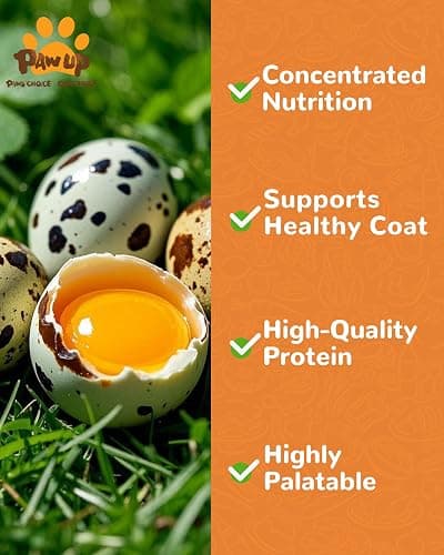 PAWUP Freeze Dried Cat & Dog Treats, Natural Quail Egg Yolk, Single Ingredient, High-Protein Pet Snacks for Skin & Coat Health, No Artificial Additives, 9.2 oz thumbnail 4