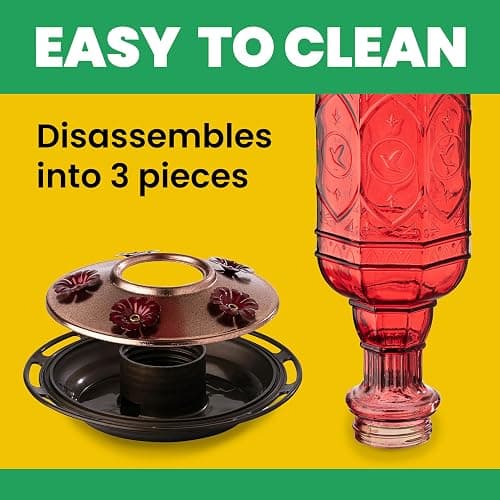 More Birds Red Jewel Hummingbird Feeder, Glass Bottle, 5 Feeding Ports and 20-Ounce Nectar Capacity (76IN) thumbnail 6