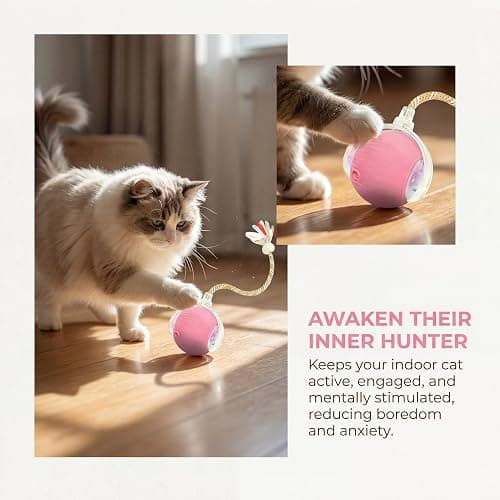 Interactive Cat Toy Ball, Automatic Cat Toys for Indoor Cats with 3 Modes | LED Light, 3 Replaceable Tails, Rechargeable Rolling Toy with Smart Sensor for Kittens & Adult Cats,USB Rechargeable thumbnail 8