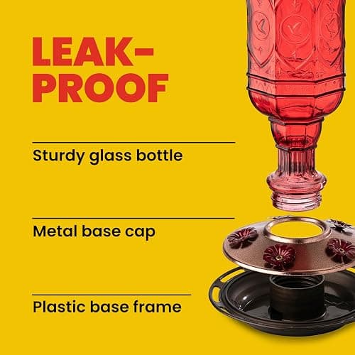 More Birds Red Jewel Hummingbird Feeder, Glass Bottle, 5 Feeding Ports and 20-Ounce Nectar Capacity (76IN) thumbnail 8