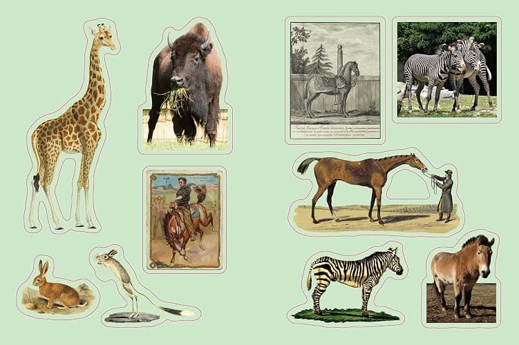 Cabinet of Curiosities: Over 1,000 Curated Stickers from the Fascinating Collections of the Smithsonian thumbnail 6
