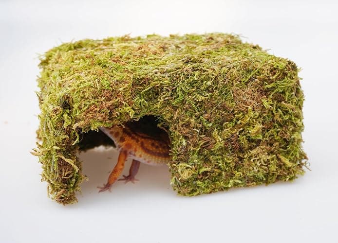 Jinymral Leopard Gecko Tank Accessories, Cute Reptile Hideout Cave, Essential Tank Terrarium Habitat Decor, Adjustable Toys Supplies thumbnail 4