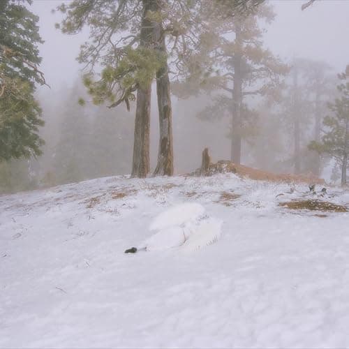 Pandora [EP] - Image 1