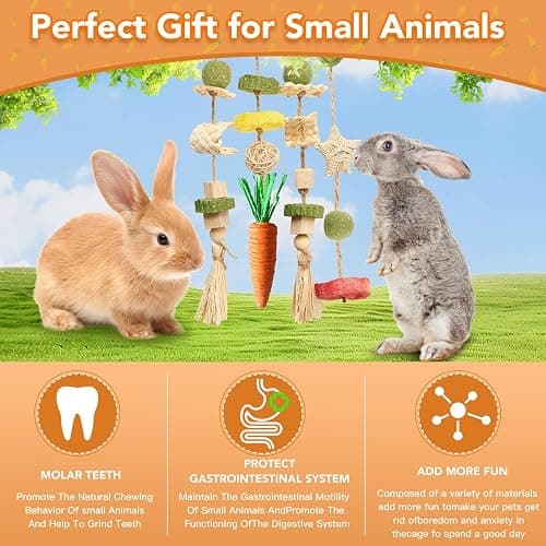 Jorewood Rabbit Chew Toys Bunny Cage Hanging Toy and Treats Rattan Ring with Snacks for Rodent Pets Teeth Healthy thumbnail 6