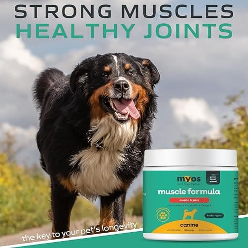MYOS Muscle & Joint Powered by Fortetropin with Green Lipped Mussel (198 gr) thumbnail 7