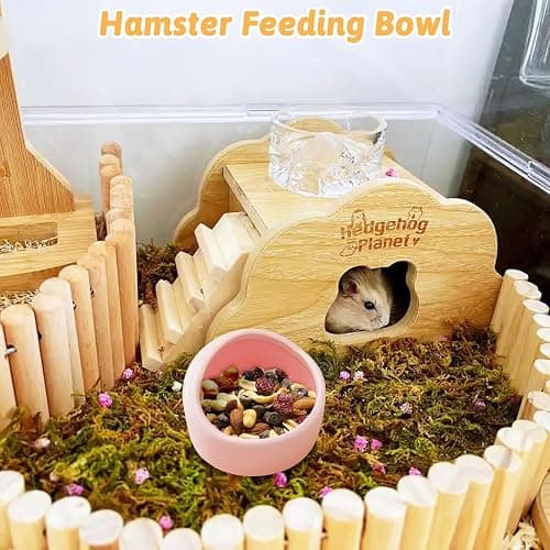 Tfwadmx 2 Pcs Hamster Food Bowl, Ceramic Pet Hamster Bowl Dwarf Hamster Food Bowl Feeder Hamster Water Rat Bowl Small Animal Food Dish for Golden Bears, Hedgehogs, Dutch Pigs, Parrots (Pink) thumbnail 5