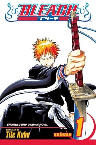 Bleach, Vol. 1 - Image 1