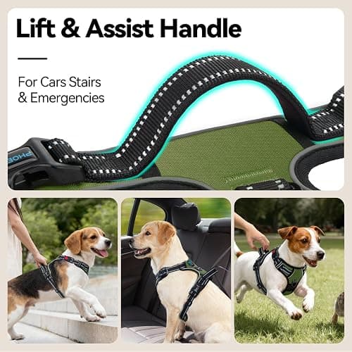 PHOEPET No Pull Dog Harness with Handle Front & Back Clip, Easy on Lockable Snap Buckle at Neck, Adjustable Reflective Vest with Handle for Small Medium Large Dogs (L, Misty Green) thumbnail 5
