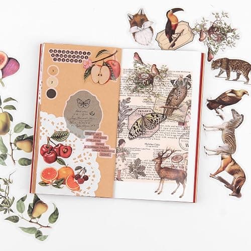 NOGAMOGA Nature Themed Transparent Pre-Cut Stickers for Scrapbooking, Pack of 240, Flora and Fauna Vintage Aesthetic Decorative Decals for Journaling Photo Album Collage Card Making Crafts thumbnail 4