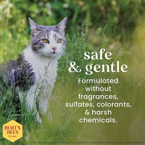 Burt's Bees for Pets Hypoallergenic Cat Shampoo with Shea Butter and Honey, Gentle Formula for Indoor Cats with Dry or Sensitive Skin, pH Balanced, Fragrance-Free, 10 Fl Oz thumbnail 5