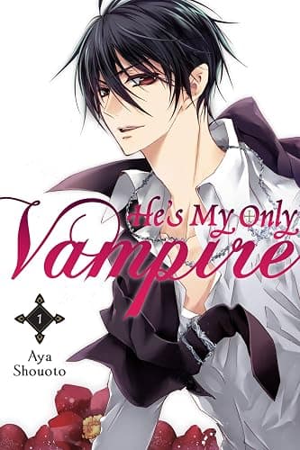 He's My Only Vampire, Vol. 1 - Image 1