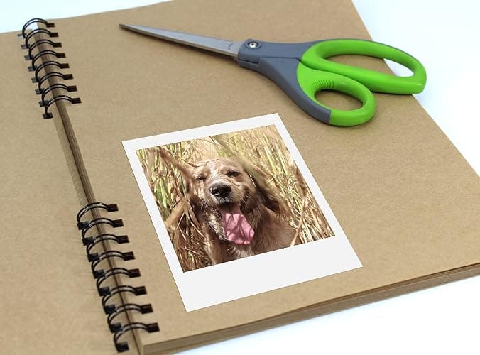 Silvine A4 Twin Wire Kraft Sketch Book - 100gsm Kraft Paper (40 Sheets) thumbnail 5
