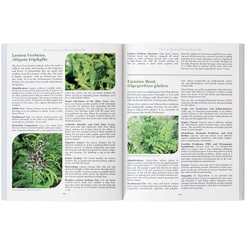 The Lost Book of Herbal Remedies thumbnail 6