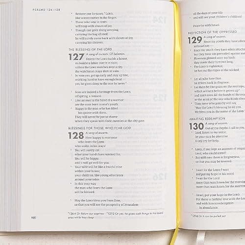 CSB She Reads Truth Bible, Hardcover, Black Letter, Full-Color Design, Wide Margins, Notetaking Space, Devotionals, Reading Plans, Two Ribbon Markers, Sewn Binding, Easy-to-Read Bible Serif Type thumbnail 11