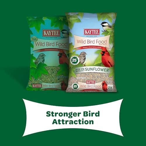 Kaytee Wild Bird Basic Seed, 10 lb - 10 Pound (Pack of 1) thumbnail 11