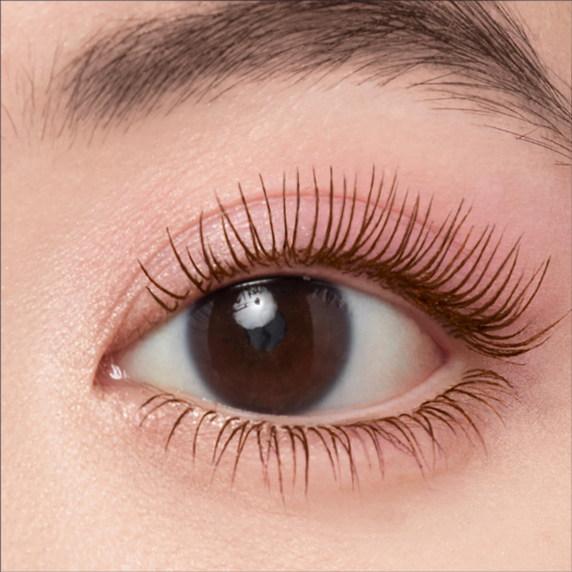 Maybelline New York Lash Sensational Sky High Mascara in Brown thumbnail 4
