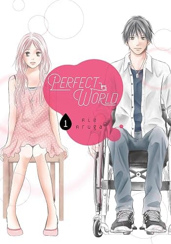 Perfect World 1 - Image 1