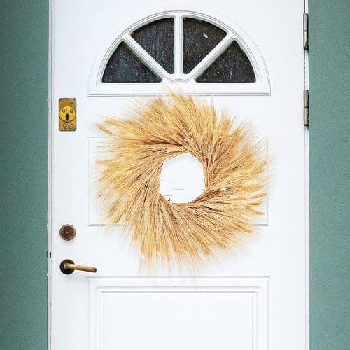 Uieke 17.7 Inches Dried Wheat Stalks, 100 Stems Dried Flowers 100% Natural Wheat for Home Kitchen Wedding Party Table Centerpiece Harvest Wreath Boho Farmhouse DIY Decoration thumbnail 5