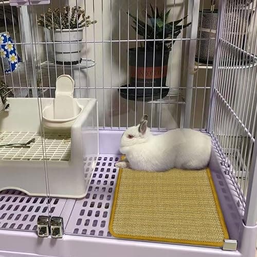 DYAUS Bunny Scratch Pads, Natural Sisal Rabbit Scratching Mats for Claws and Teeth Care, Indoor Bunny Chew Toys Bunny Bed for Biting Sleeping Nesting (3PCS, 16x12in) thumbnail 5