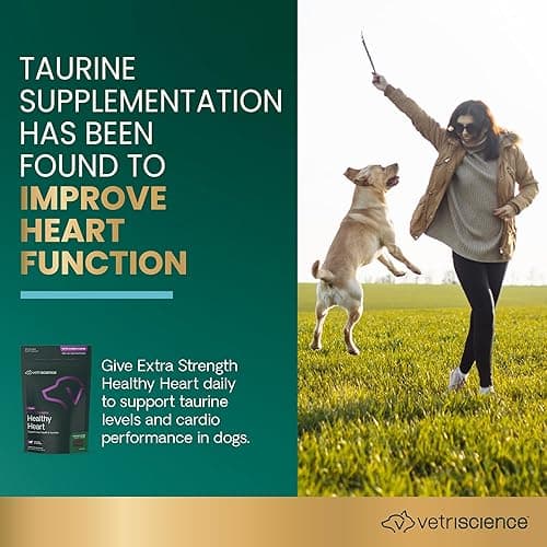 VetriScience Extra Strength Healthy Heart Chews, Vetri Cardio Supplement for Dogs, Heart Support Supplement with Taurine, Carnitine, CoQ10, Hawthorn and Berberine, Chicken, 60 Count thumbnail 4