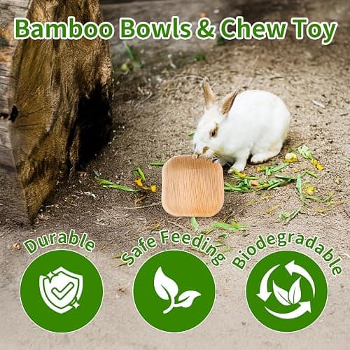 Jiaxix 30 Pcs Disposable Palm Leaf Bowl 4" Square Bowls for Rabbits,Chewable Dish for Rabbits,Bunnies,Hamsters,Parrot thumbnail 5