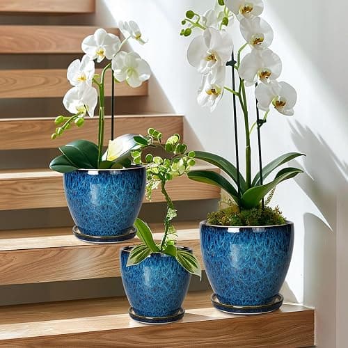 EPFamily Plant Pots Indoor, Ceramic Planters Pots with Drainage Holes and Saucers, 10+8+6 Inch, Set of 3, Round Large Flower Pots for Indoor Outdoor Plants, Blue thumbnail 4