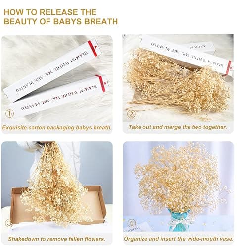 beerfingo 3000+ Dried-Babys-Breath-Bouquet-17.2 inch Dried Flowers, Natural Gypsophila Branches for Home Decor, Wedding, Table Decor, DIY Wreath Floral, Dry Flowers Bulk for Vase (Off White) thumbnail 4