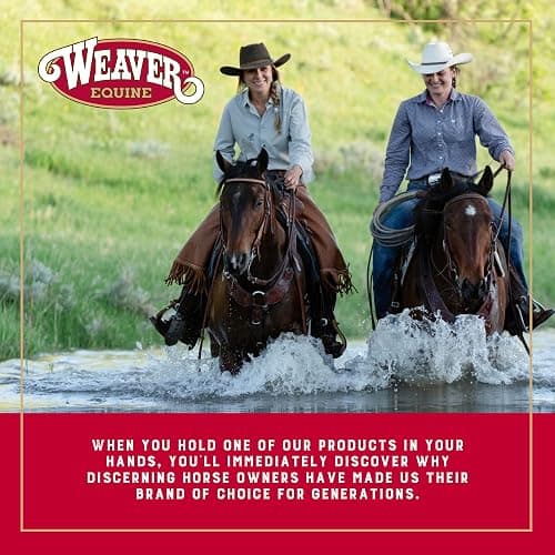 Weaver Equine Waxed Nylon Kids Lasso Rope, Lightweight Cowboy Rope Lasso for Practice, Colorful Loop Roping Ropes for Kids 5/16" x 20' thumbnail 6
