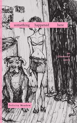 Something Happened Here: an illustrated novel - Image 1