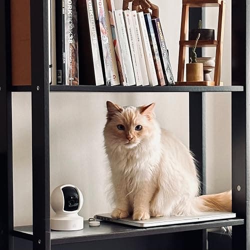 Kasa Indoor Pan/Tilt Smart Security Camera, 1080p HD Dog-Camera,2.4GHz with Night Vision,Motion Detection for Baby and Pet Monitor, Cloud & SD Card Storage, Works with Alexa& Google Home (EC70), White - White - New 1080P thumbnail 6