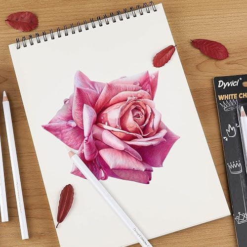 Dyvicl White Charcoal Pencils Drawing Set, 6 Pcs Sketch Highlight Pencil Hard Charcoal White Pencils for Drawing, Sketching, Shading, Blending thumbnail 2