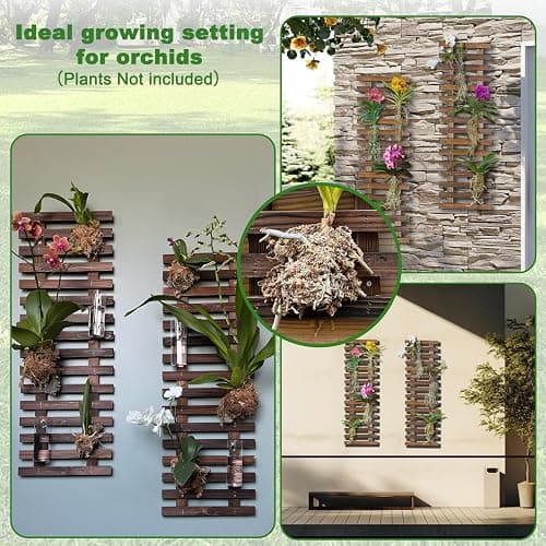 Mulctun 2 Pcs Wall Planters - 11.4"W x 35.43"H Wooden Wall Planters for Indoor Outdoor Plants,Hanging Wood Wall Trellis,Wall Mounted Plant Holder for Orchids,Succulent,Air Plants,Hanging Pots Display thumbnail 3
