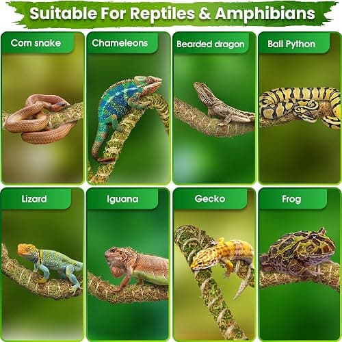 Duspro 6.5FT Reptile Vine & Moss Set for Climbing Bendable Branch, Natural Moss Rope Jungle Decor for Bearded Dragon, Chameleon Tank Accessories, Snake Gecko Lizard Terrarium thumbnail 5