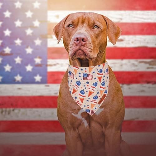 ADOGGYGO American Flag Dog Bandana, Ice Cream Hamburg Flag Pet Scarf, Premium Durable Fabric, Patriotic 4th of July Bandanas for Medium Large Dogs Pets (Large) thumbnail 2