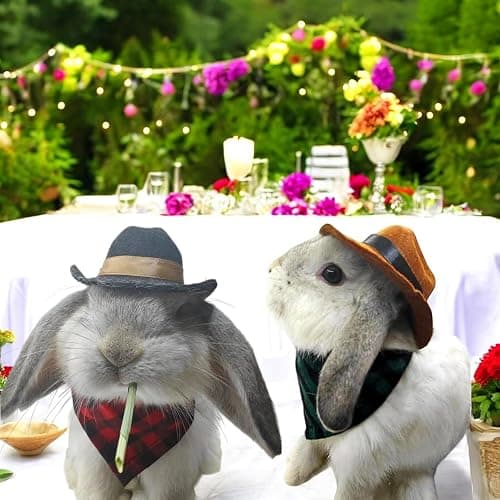 Cute Rabbit Cowboys Hat and Scarf Set, Funny Rabbits Pet Cowboy's Hat Scarf Outfits, Rabbits Dog Cat Pets Halloween Costume Hats Clothes Bunny Stuff Gifts Bunny Accessories (Black-Red Suit) thumbnail 5