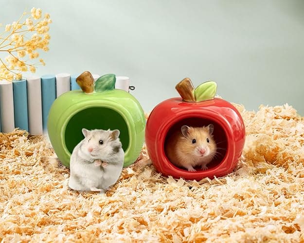 Ceramic Hamster Cooling Hideout Fruit Shape Dwarf Hamster House and Habitat | Small Animal Sleeping Cave,Hamster Cool Hiding Spot for Dwarf Hamsters Gerbil Mice to Prevent Small Pets from Overheating thumbnail 5