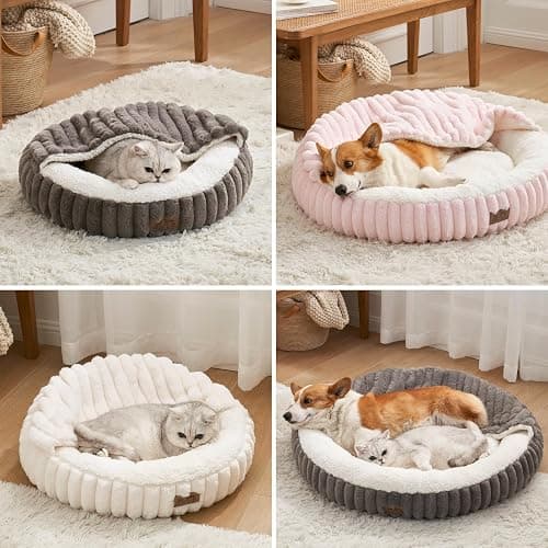 COZY KISS Katzenbett mit Decke 50x50x15cm - Flauschige Kleine Katzenhöhle - Kissen, Runde kleine Hundebett mit Rutschfester Unterseite, Katzensofa mit Kopfstütze aus Kunstfell, Waschbares, Creme thumbnail 6