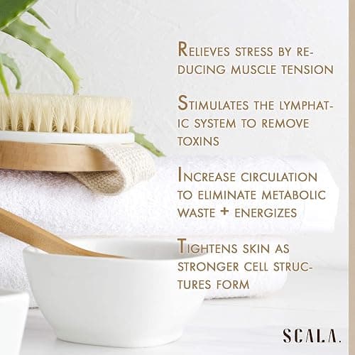 Dry Brushing Body Brush SCALA Natural Bristle Body Brush, Soft Body Exfoliating Brush Scrub for Dead Skin, Cellulite, Lymphatic Drainage, Blood Flow – Thicker & Stronger Medium Strength thumbnail 7