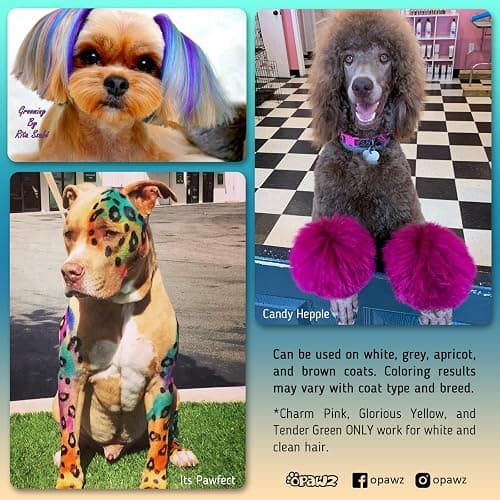 OPAWZ Permanent Dog Hair Dye, Pet Hair Dye Safely Used by Grooming Salons for a Decade, Pet Safe Dye Lasts Over 20 Washes, Bright Color for Dogs and Horses (Chic Violet) thumbnail 2