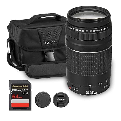 Canon EF 75-300mm f/4-5.6 III Lens | Compact Telephoto Zoom with Versatile Focal Range & Smooth Autofocus | Great for Sports, Wildlife, & Everyday Photography (6473A003) + Shoulder Bag + 64GB Card - Image 1