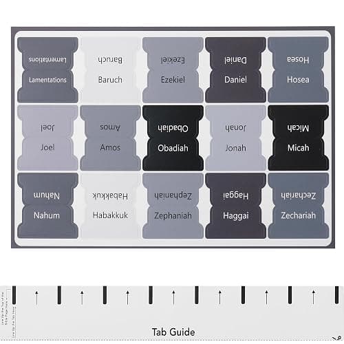 Mr. Pen- Bible Tabs, 75 Tabs, Gray, Laminated Bible Tabs for Women and Men, Bible Tabs for Study Bible, Bible Index Tabs, Bible Book Tabs, Bible Labels Tabs, Mr Pen Bible Tabs thumbnail 7