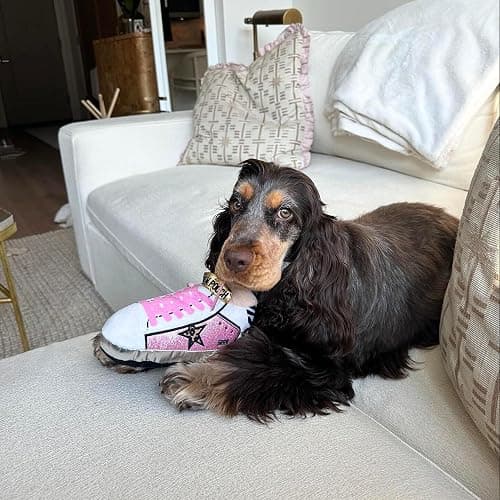 Haute Diggity Dog Pink Golden Pooch Tennis Shoe, Plush Designer Dog Toys with Interactive Squeaker, Stimulating Pet Enrichment, Machine-Washable & Safe Materials for All Breeds, One Size thumbnail 6