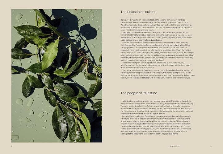 Boustany: A celebration of vegetables from my Palestine: The Sunday Times Bestseller thumbnail 2