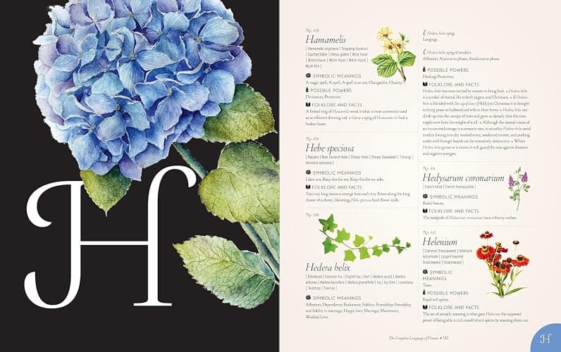 The Complete Language of Flowers: A Definitive and Illustrated History (Volume 3) (Complete Illustrated Encyclopedia, 3) thumbnail 10